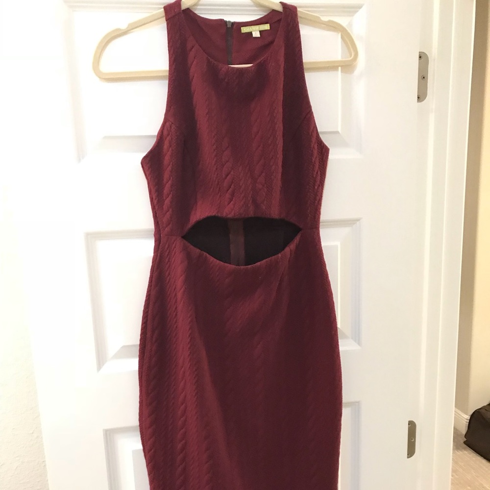 Gianni Bini burgundy roped sweater dress